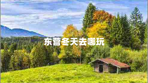 東營冬天去哪玩 東營冬天去哪玩