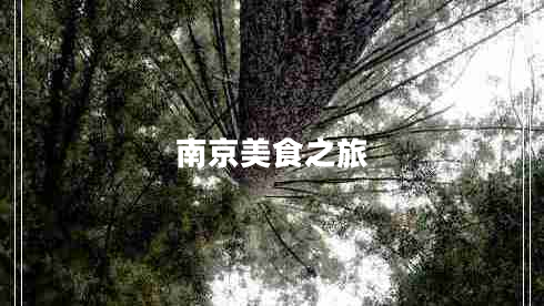 南京美食之旅 南京美食之旅