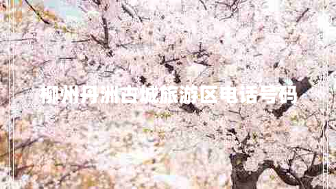 柳州丹洲古城旅游區(qū)電話號碼 柳州丹洲古城旅游區(qū)電話號碼