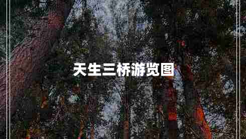 天生三橋游覽圖