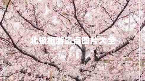 北極旅游景點(diǎn)圖片大全