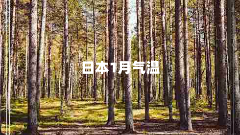 日本1月氣溫