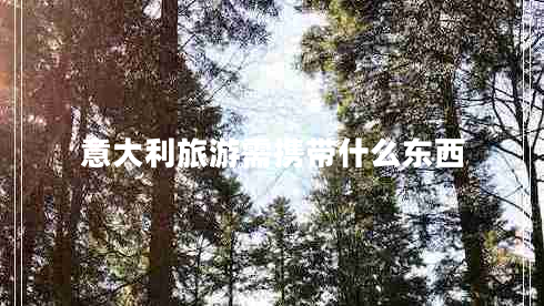 意大利旅游需攜帶什么東西