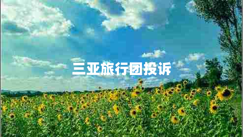 三亞旅行團(tuán)投訴