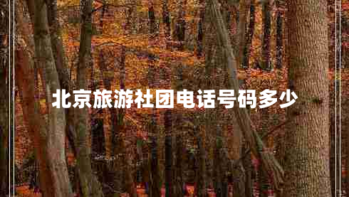 北京旅游社團(tuán)電話號(hào)碼多少