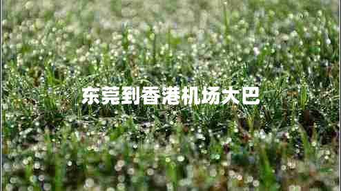東莞到香港機(jī)場(chǎng)大巴