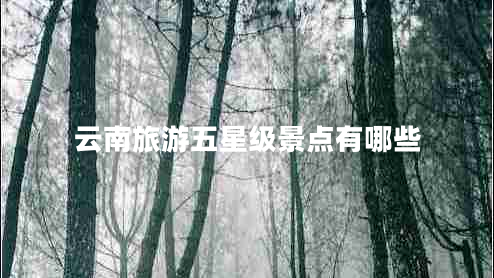 云南旅游五星級(jí)景點(diǎn)有哪些 云南旅游五星級(jí)景點(diǎn)有哪些