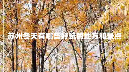 蘇州冬天有哪些好玩的地方和景點