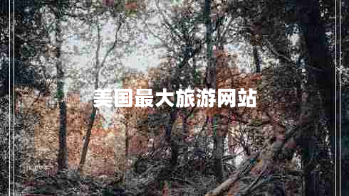 美國(guó)最大旅游網(wǎng)站