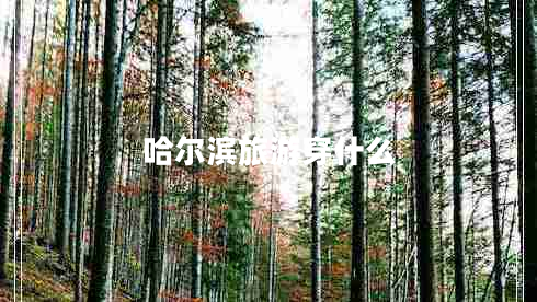 哈爾濱旅游穿什么