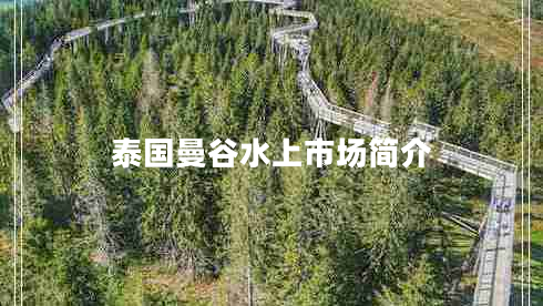 泰國曼谷水上市場簡介