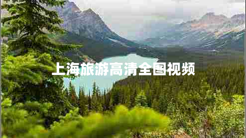 上海旅游高清全圖視頻