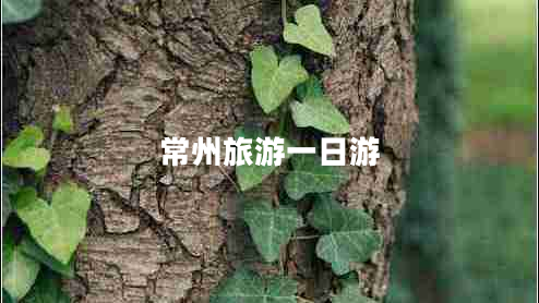 常州旅游一日游
