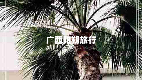 廣西陽朔旅行 廣西陽朔旅行