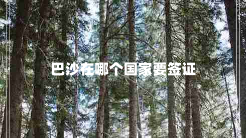 巴沙在哪個國家要簽證