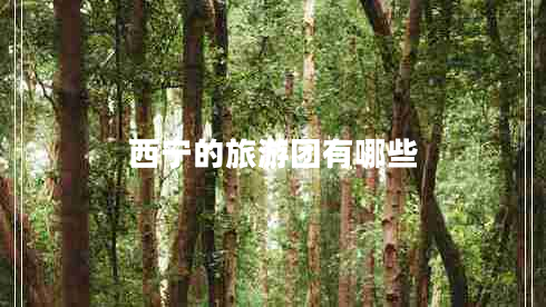 西寧的旅游團(tuán)有哪些