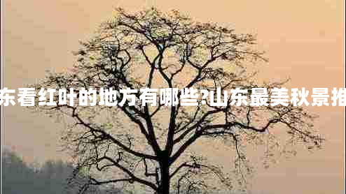 山東看紅葉的地方有哪些?山東最美秋景推薦 山東看紅葉的地方有哪些?山東最美秋景推薦