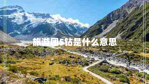 旅游團(tuán)5鉆是什么意思