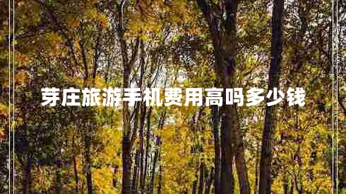 芽莊旅游手機(jī)費(fèi)用高嗎多少錢 芽莊旅游手機(jī)費(fèi)用高嗎多少錢