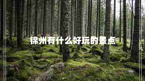 錦州有什么好玩的景點