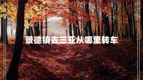 景德鎮(zhèn)去三亞從哪里轉(zhuǎn)車