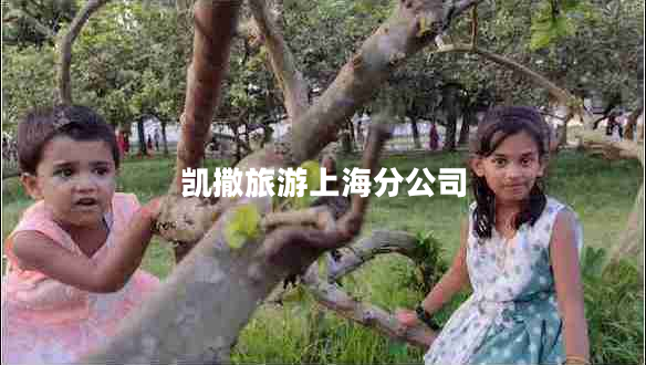 凱撒旅游上海分公司