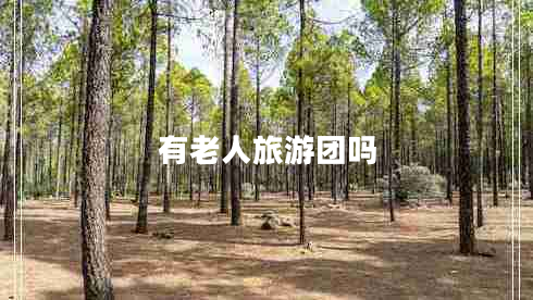 有老人旅游團嗎
