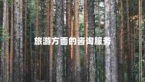 旅游方面的咨詢服務(wù)