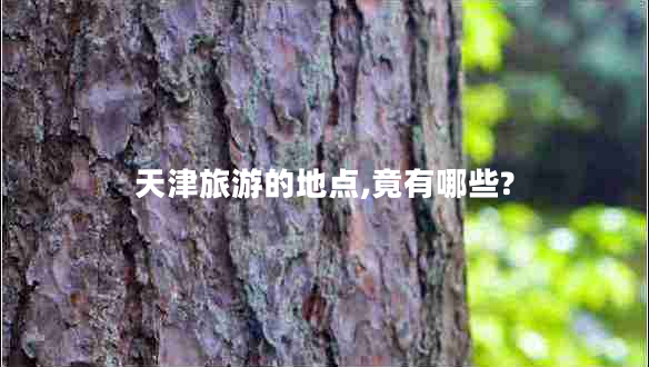 天津旅游的地點(diǎn),竟有哪些?
