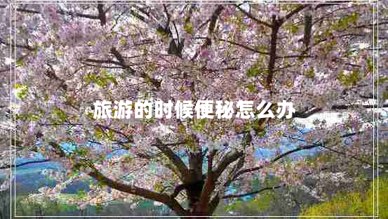 旅游的時(shí)候便秘怎么辦