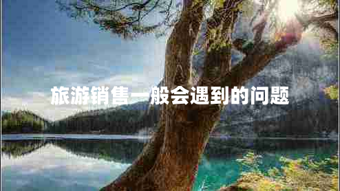 旅游銷售一般會遇到的問題