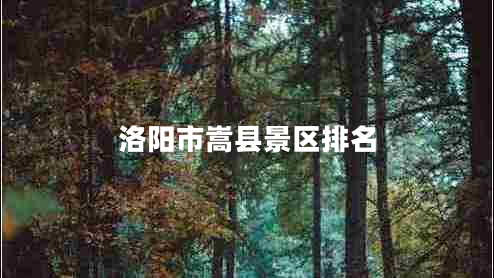 洛陽市嵩縣景區(qū)排名