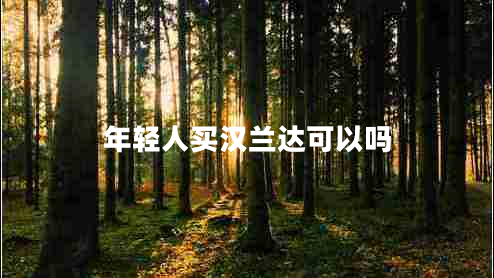 年輕人買漢蘭達(dá)可以嗎