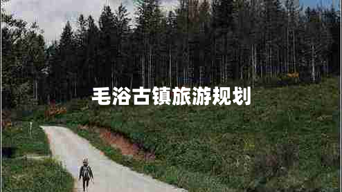 毛浴古鎮(zhèn)旅游規(guī)劃