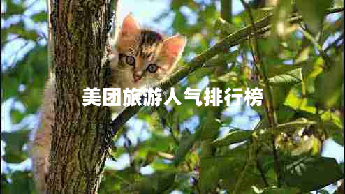 美團(tuán)旅游人氣排行榜