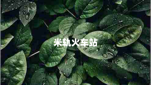 米軌火車(chē)站 米軌火車(chē)站