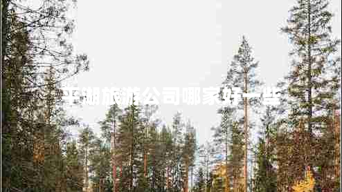 平湖旅游公司哪家好一些