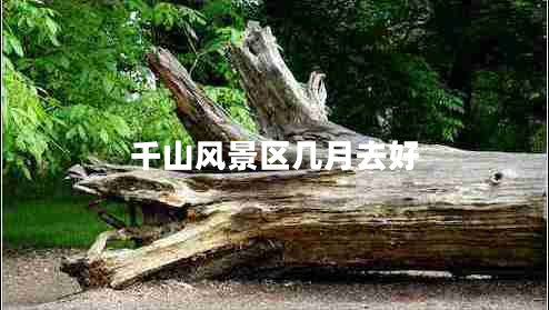 千山風(fēng)景區(qū)幾月去好