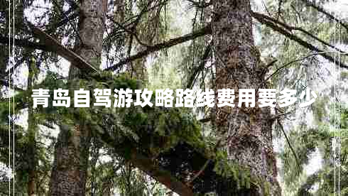 青島自駕游攻略路線費(fèi)用要多少