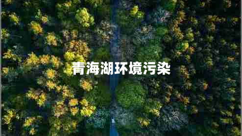 青海湖環(huán)境污染