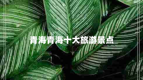 青海青海十大旅游景點