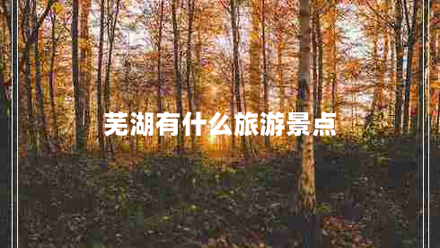 蕪湖有什么旅游景點(diǎn)