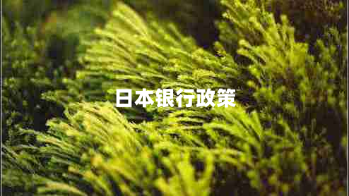 日本銀行政策