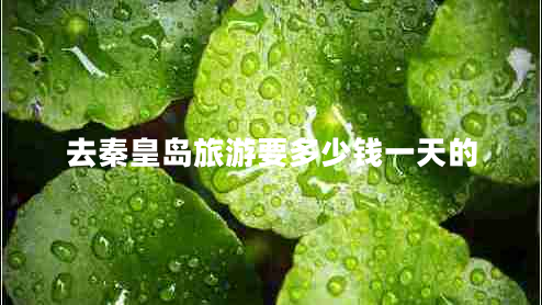 去秦皇島旅游要多少錢一天的 去秦皇島旅游要多少錢一天的
