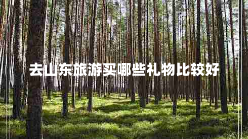 去山東旅游買哪些禮物比較好