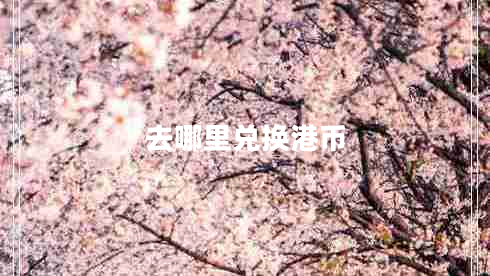 去哪里兌換港幣 去哪里兌換港幣