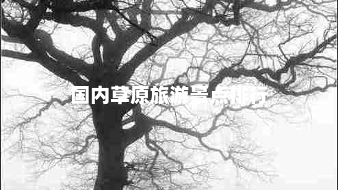 國內(nèi)草原旅游景點排行