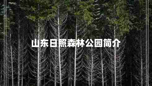 山東日照森林公園簡介
