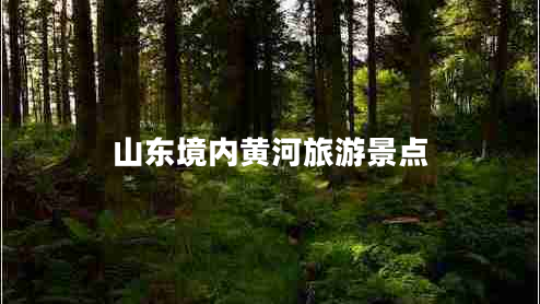 山東境內(nèi)黃河旅游景點(diǎn)
