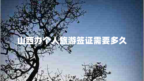 山西辦個(gè)人旅游簽證需要多久